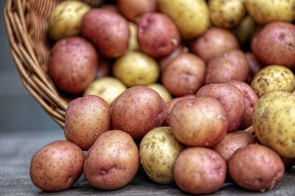 krumpli jótékony hatása